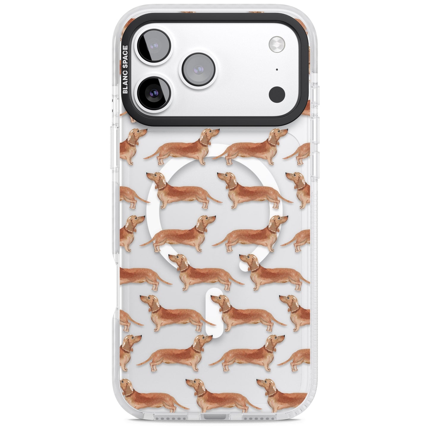 Dachshund Watercolor Dog Pattern