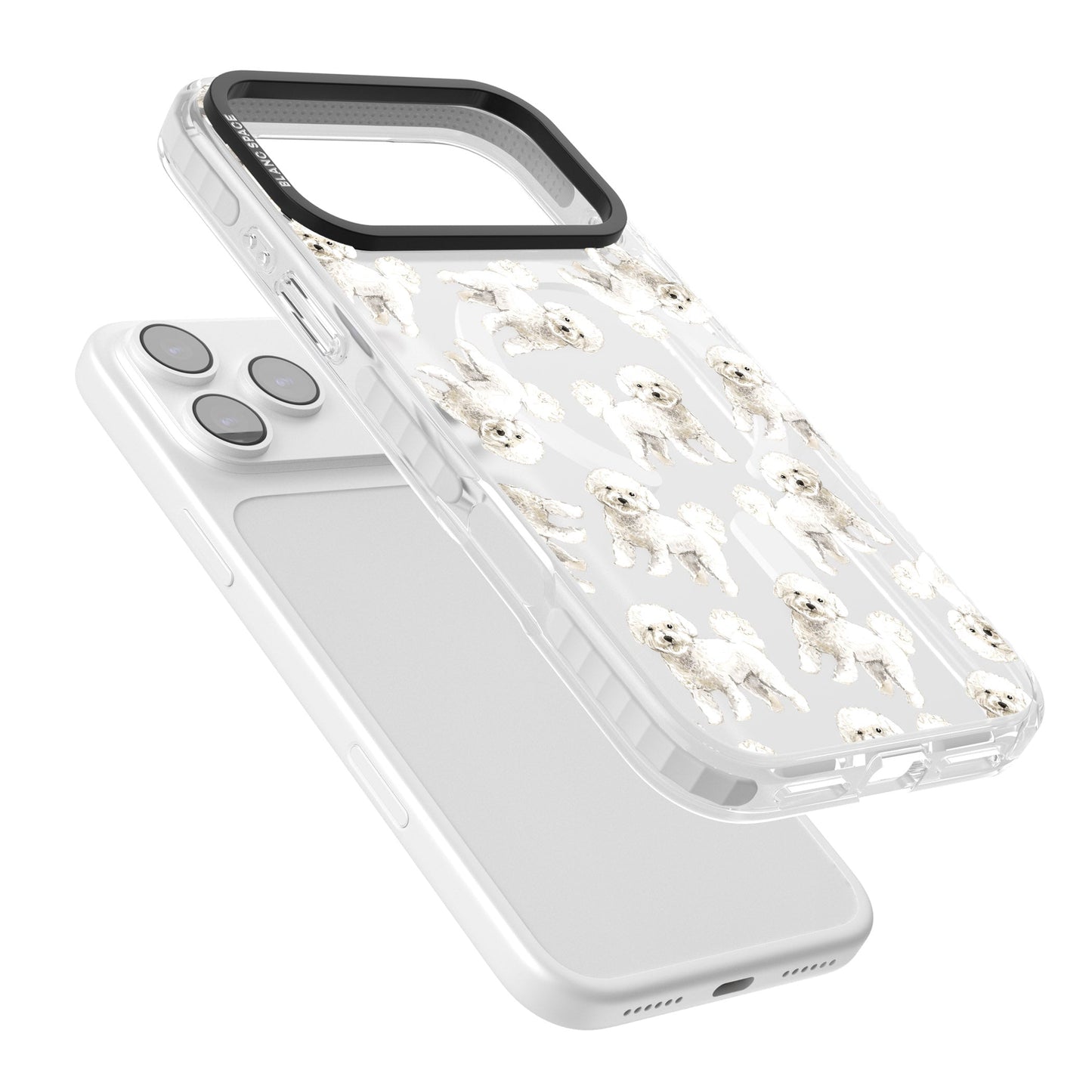 Bichon frisé aquarelle