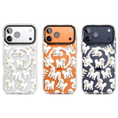 Bichon frisé aquarelle