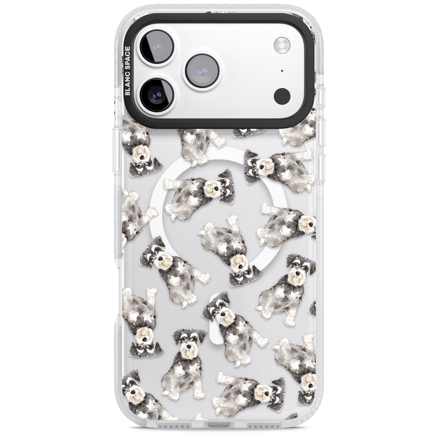 Aquarellzeichnung eines Zwergschnauzers