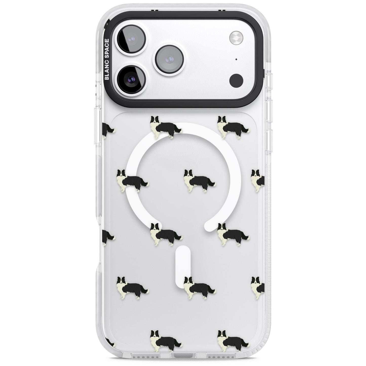 Border Collie Pattern Clear