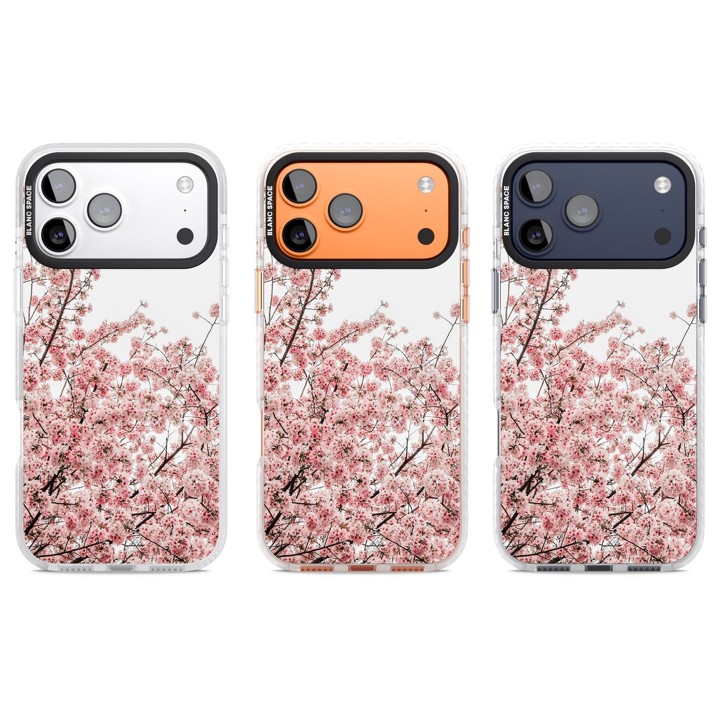 Cherry Blossom Bloom