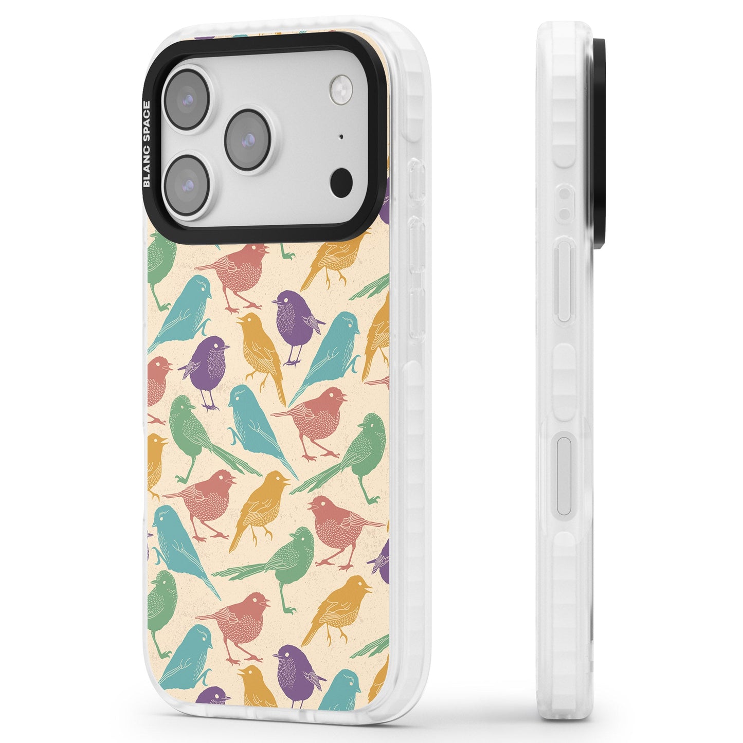 Colorful Feathered Friends