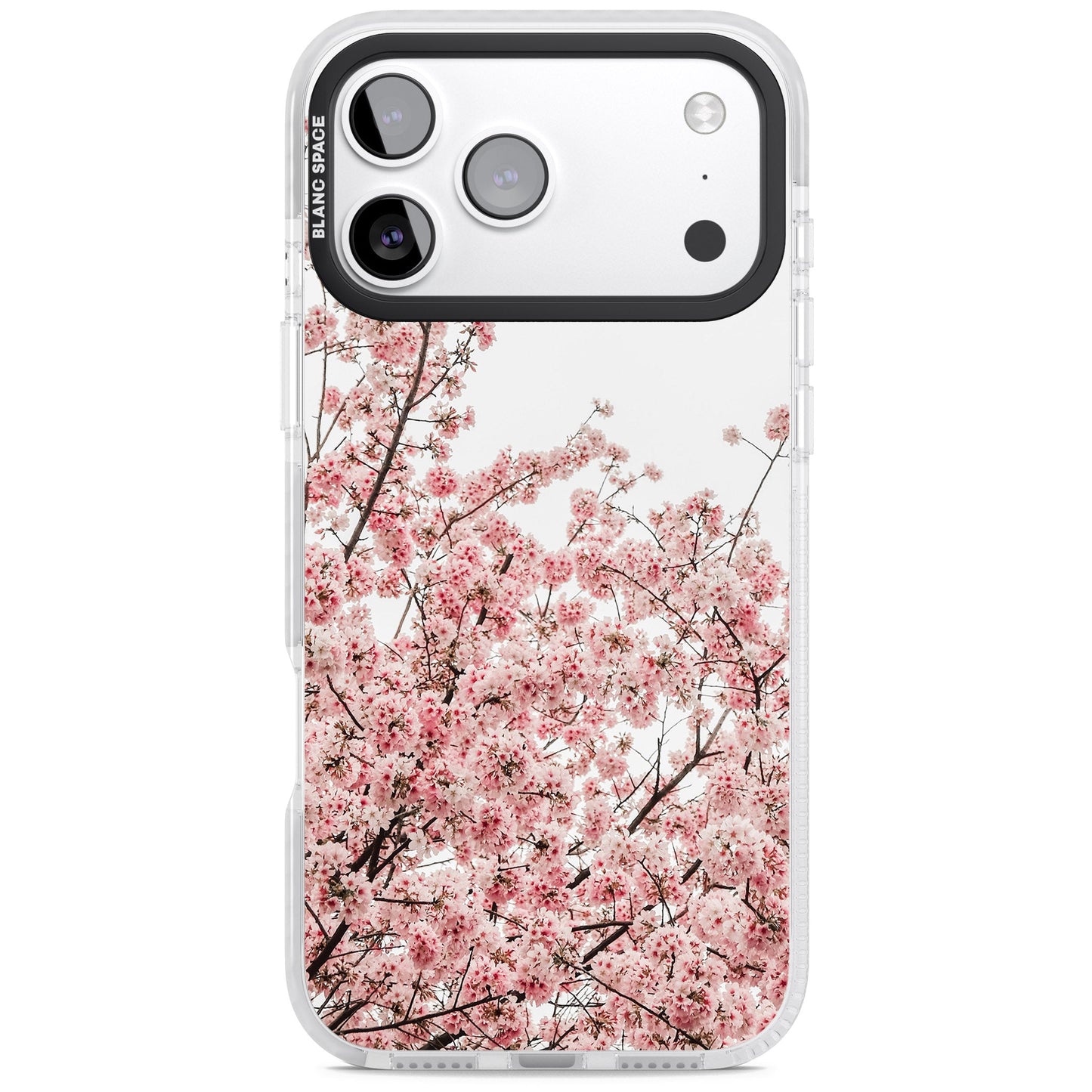 Cherry Blossom Bloom