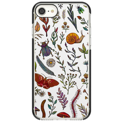 Insectes et fleurs sauvages