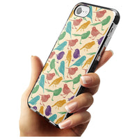 Colorful Feathered Friends