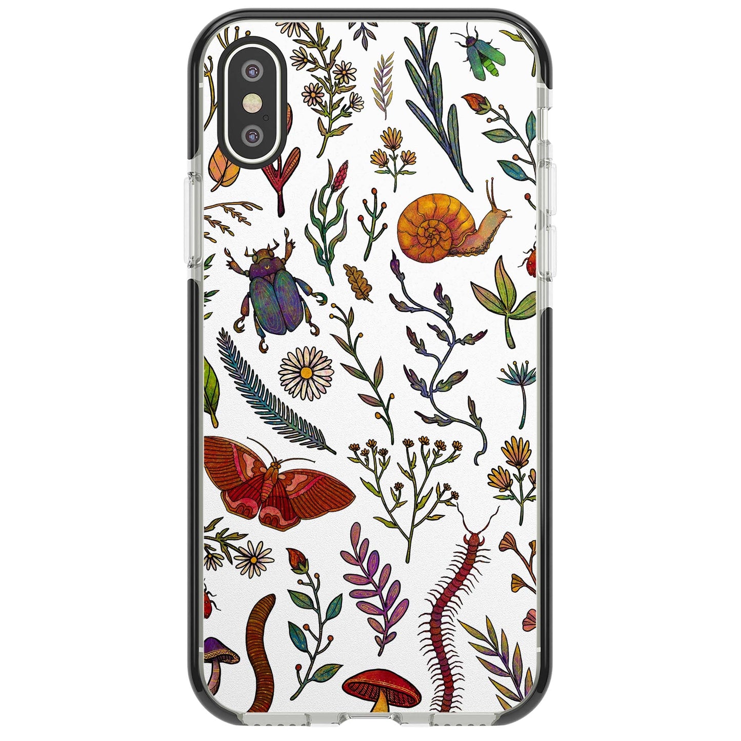 Insectes et fleurs sauvages