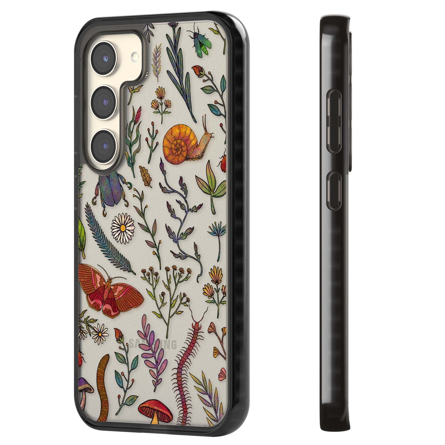 Insectes et fleurs sauvages