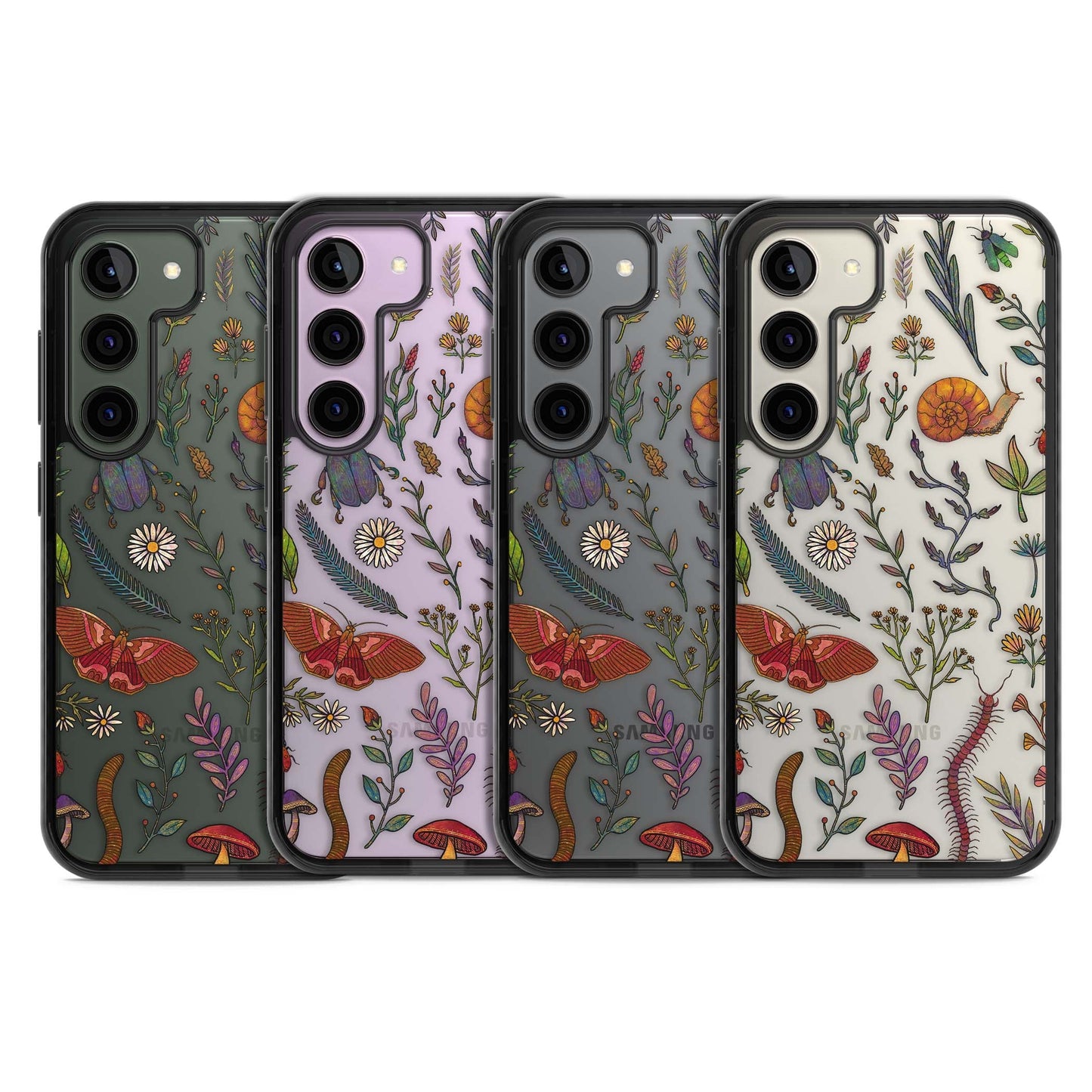 Insectes et fleurs sauvages