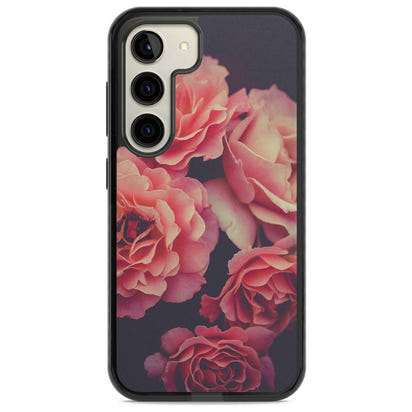 Mitternachtsrosenblüte