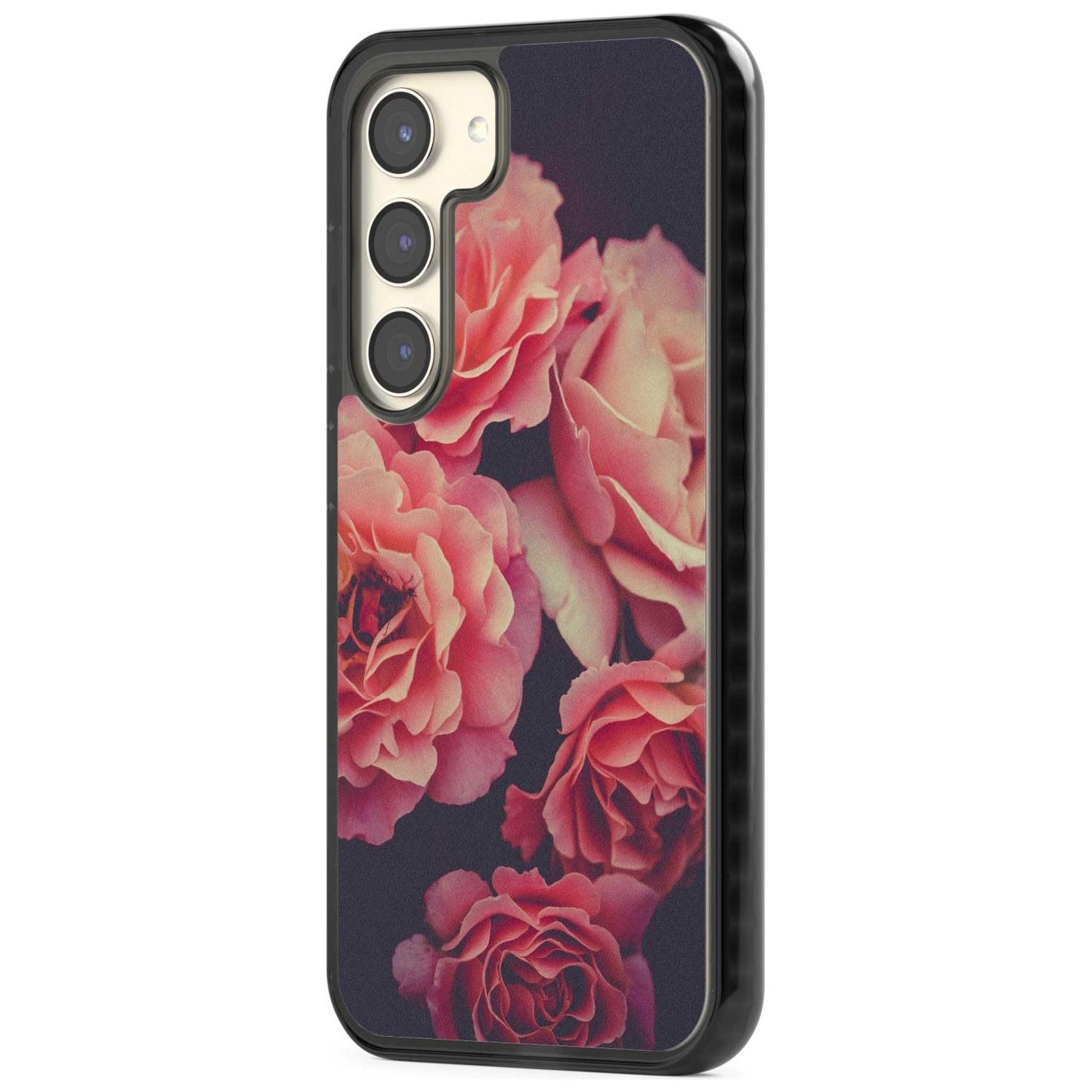 Mitternachtsrosenblüte