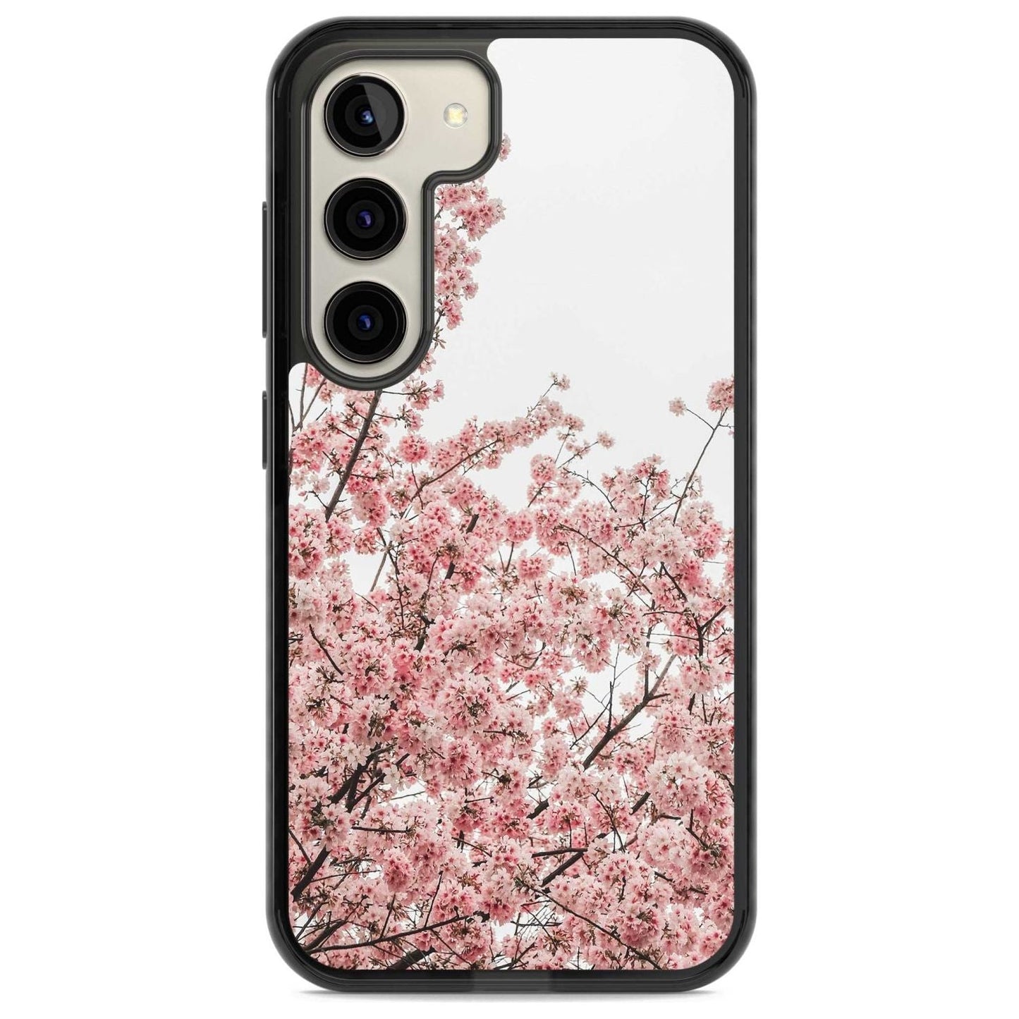 Cherry Blossom Bloom