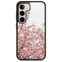 Cherry Blossom Bloom