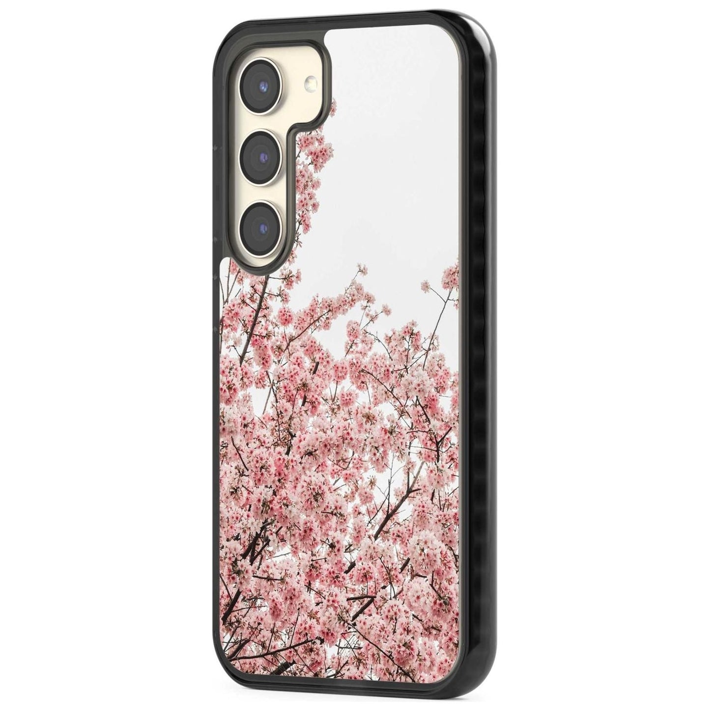 Cherry Blossom Bloom