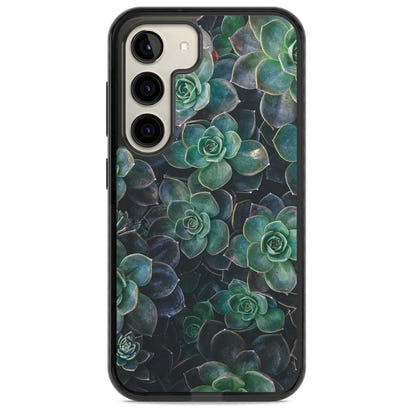 Succulent Bloom Botanical