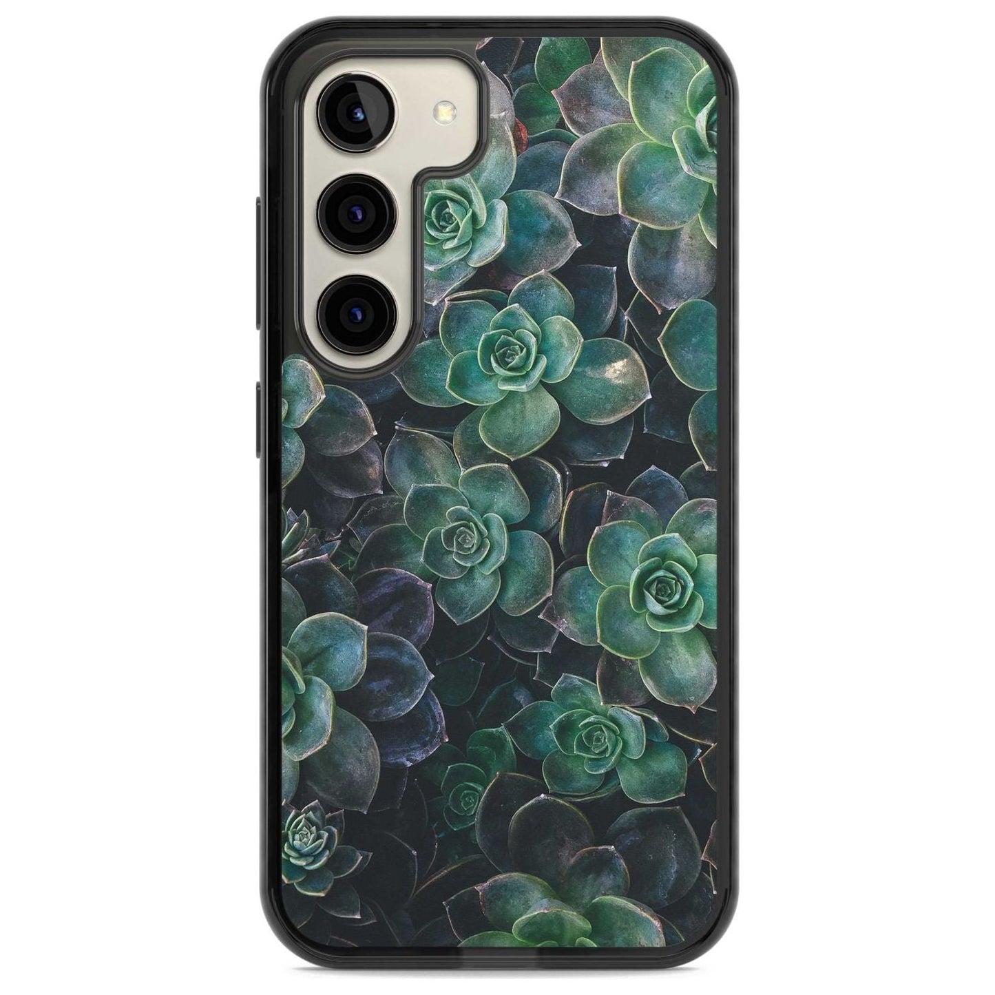 Succulent Bloom Botanical