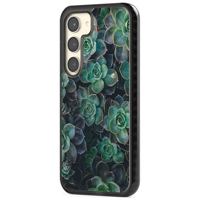 Succulent Bloom Botanical