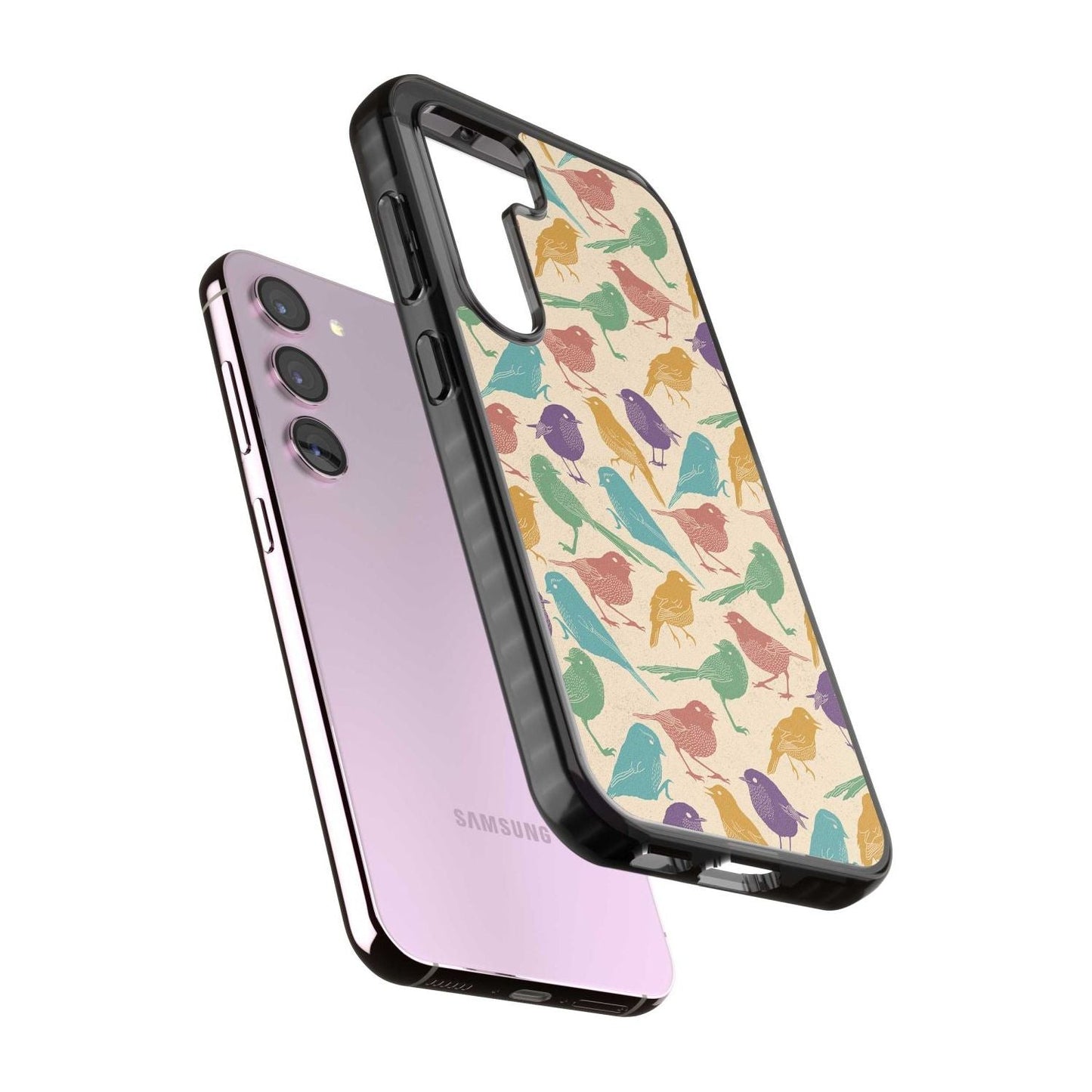 Colorful Feathered Friends