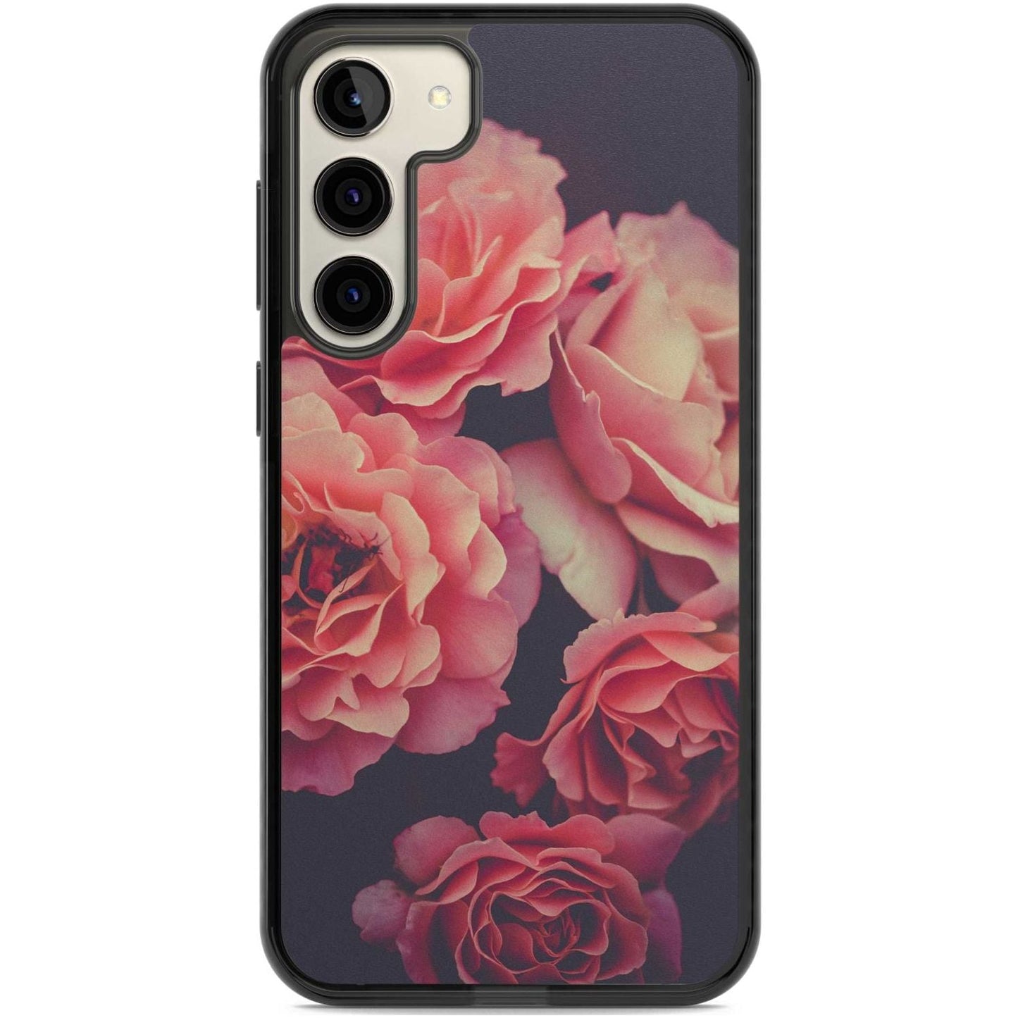 Mitternachtsrosenblüte