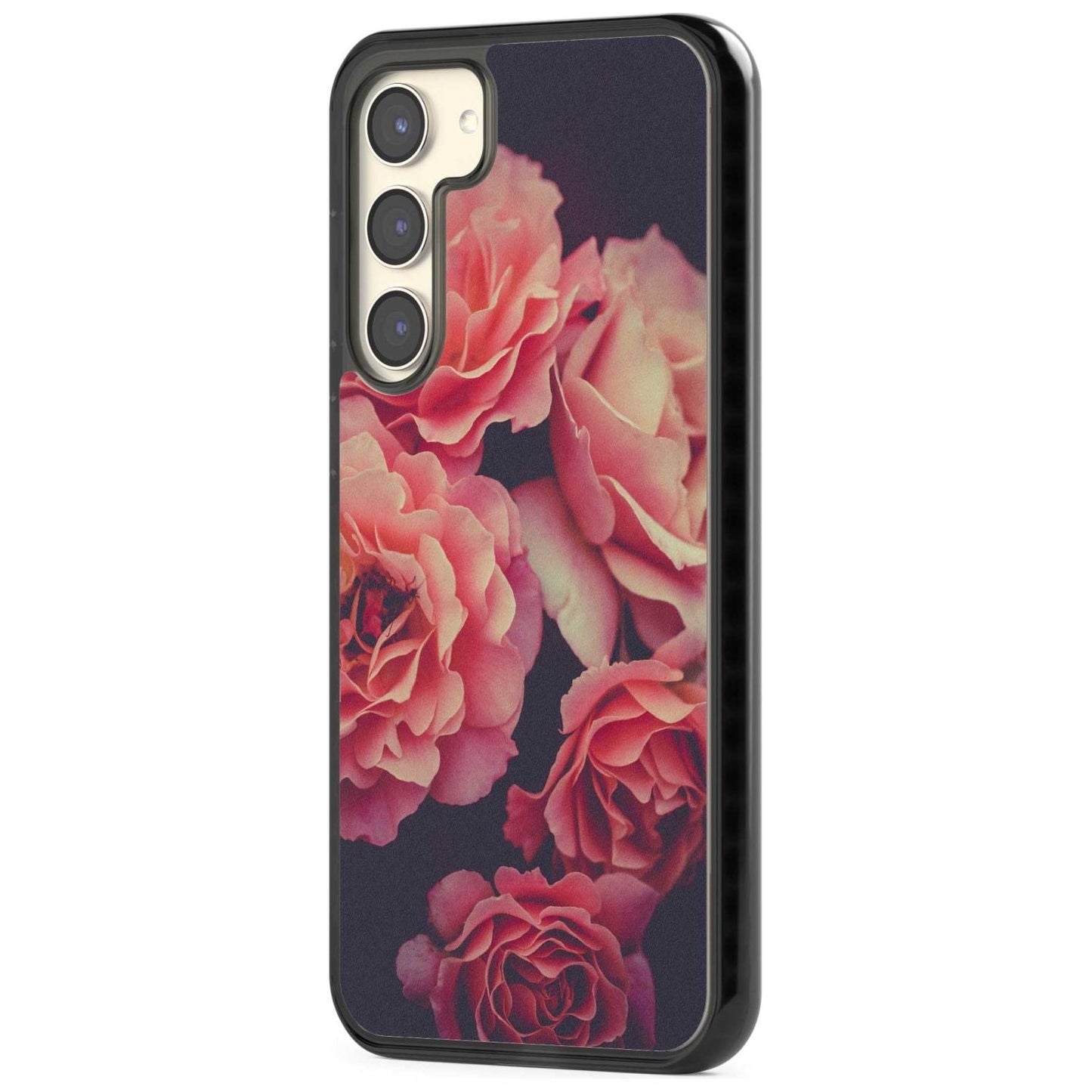 Mitternachtsrosenblüte