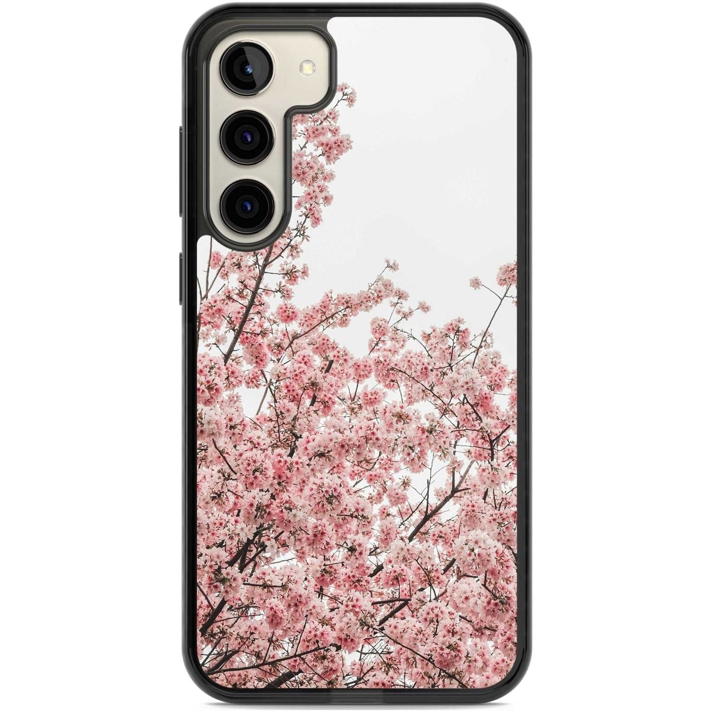 Cherry Blossom Bloom