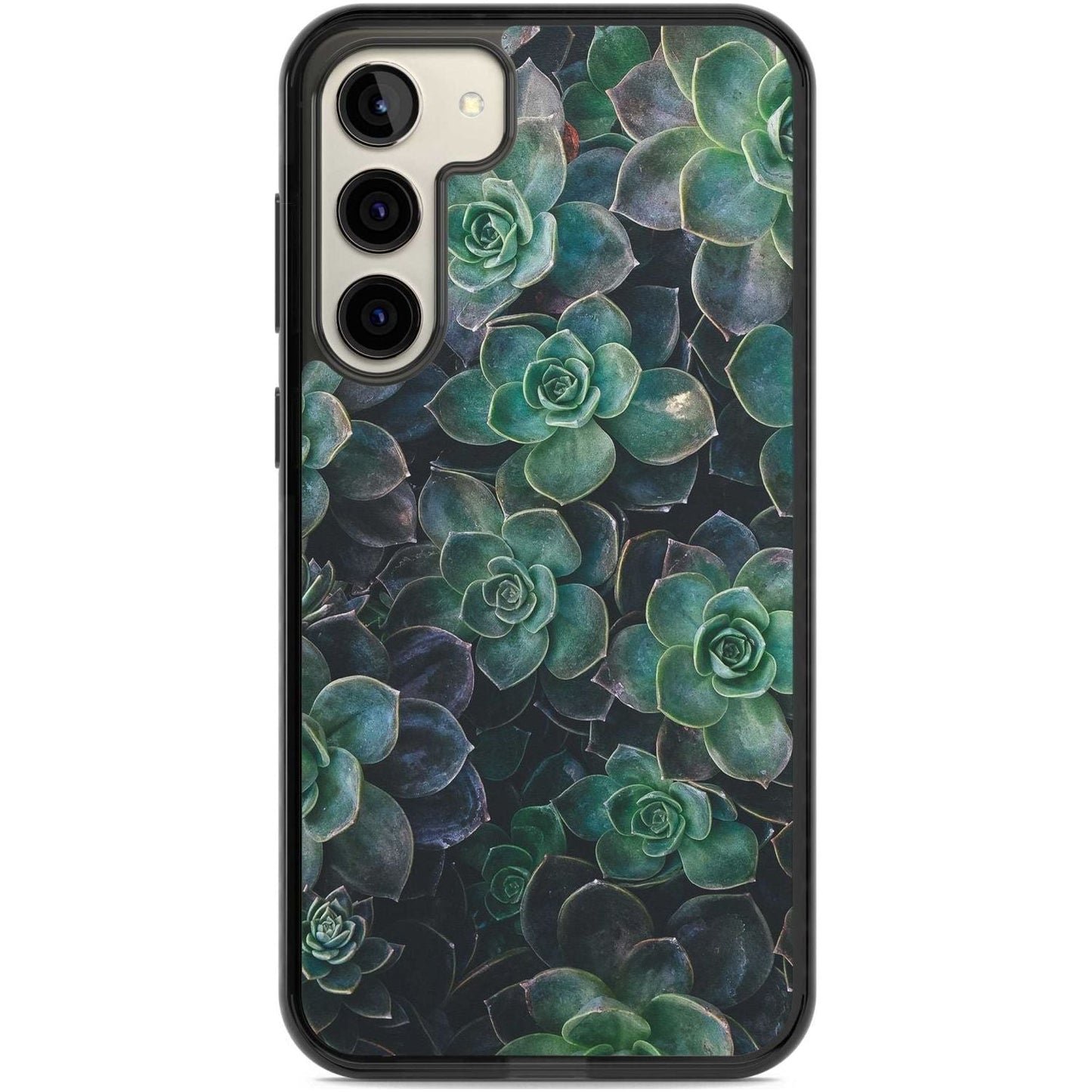 Succulent Bloom Botanical