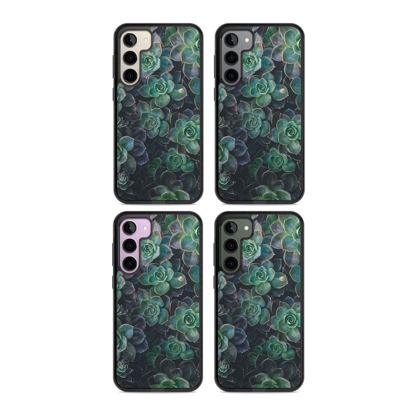 Succulent Bloom Botanical