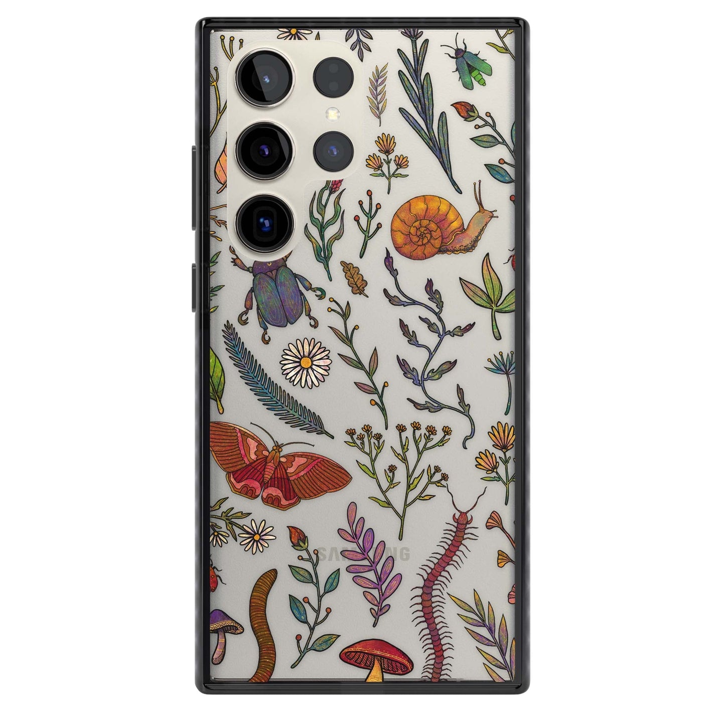 Insectes et fleurs sauvages