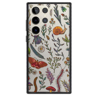 Insectes et fleurs sauvages