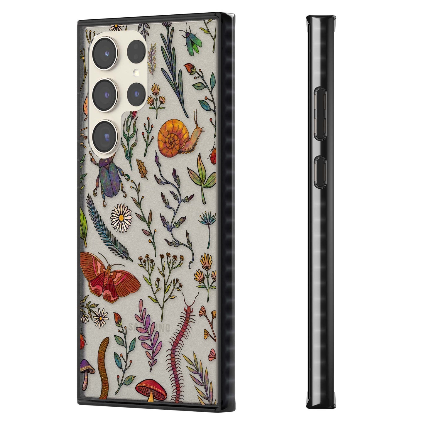 Insectes et fleurs sauvages