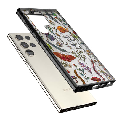 Insectes et fleurs sauvages