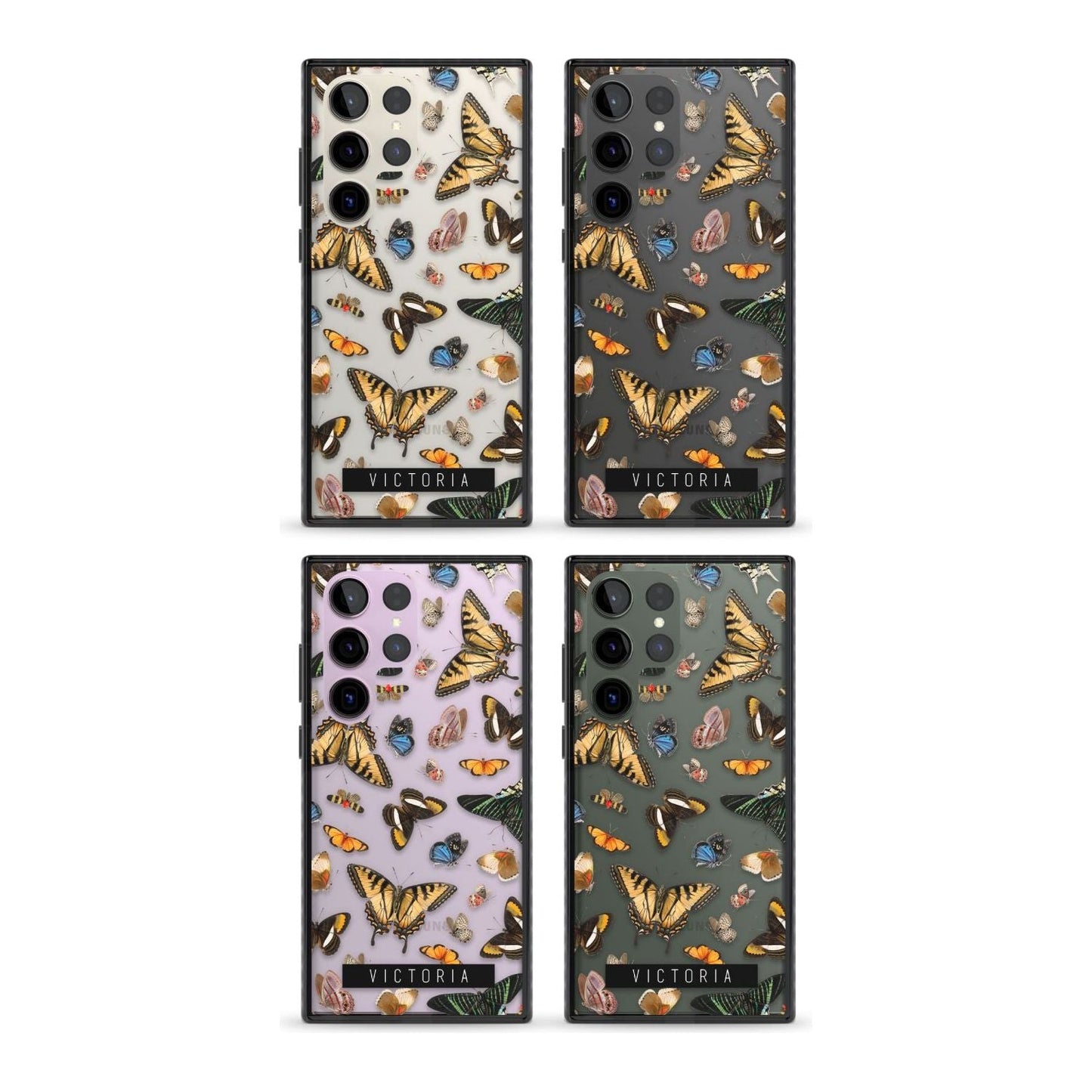 Archives de papillons personnalisées