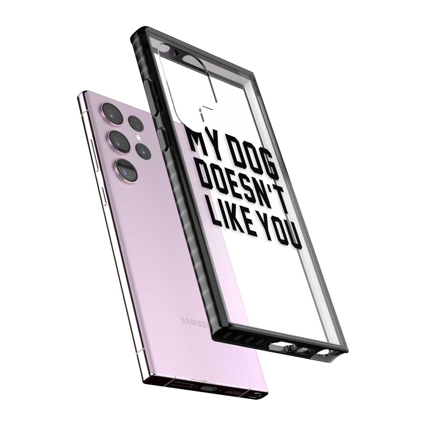 My Dog Doesn'T Like You