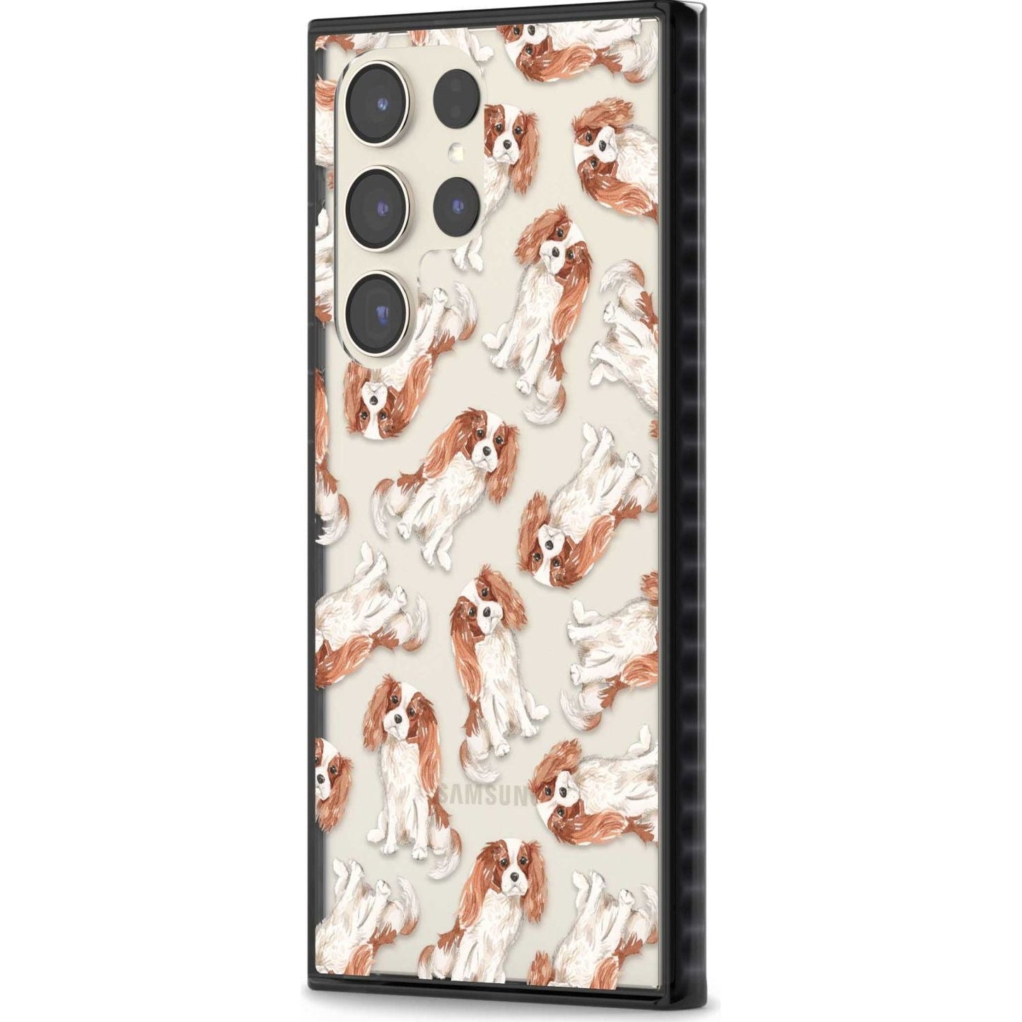 Cavalier King Charles Spaniel