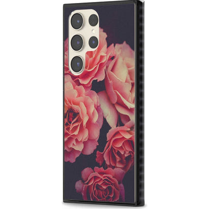 Mitternachtsrosenblüte