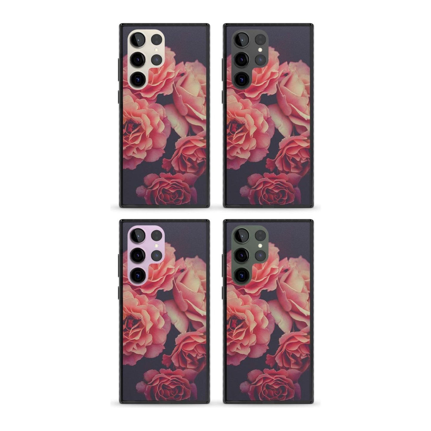 Mitternachtsrosenblüte