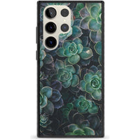 Succulent Bloom Botanical