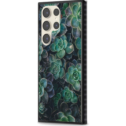 Succulent Bloom Botanical