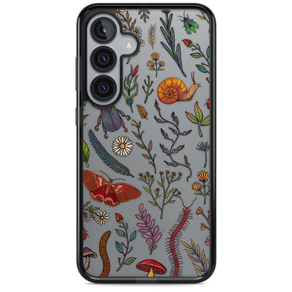 Insectes et fleurs sauvages