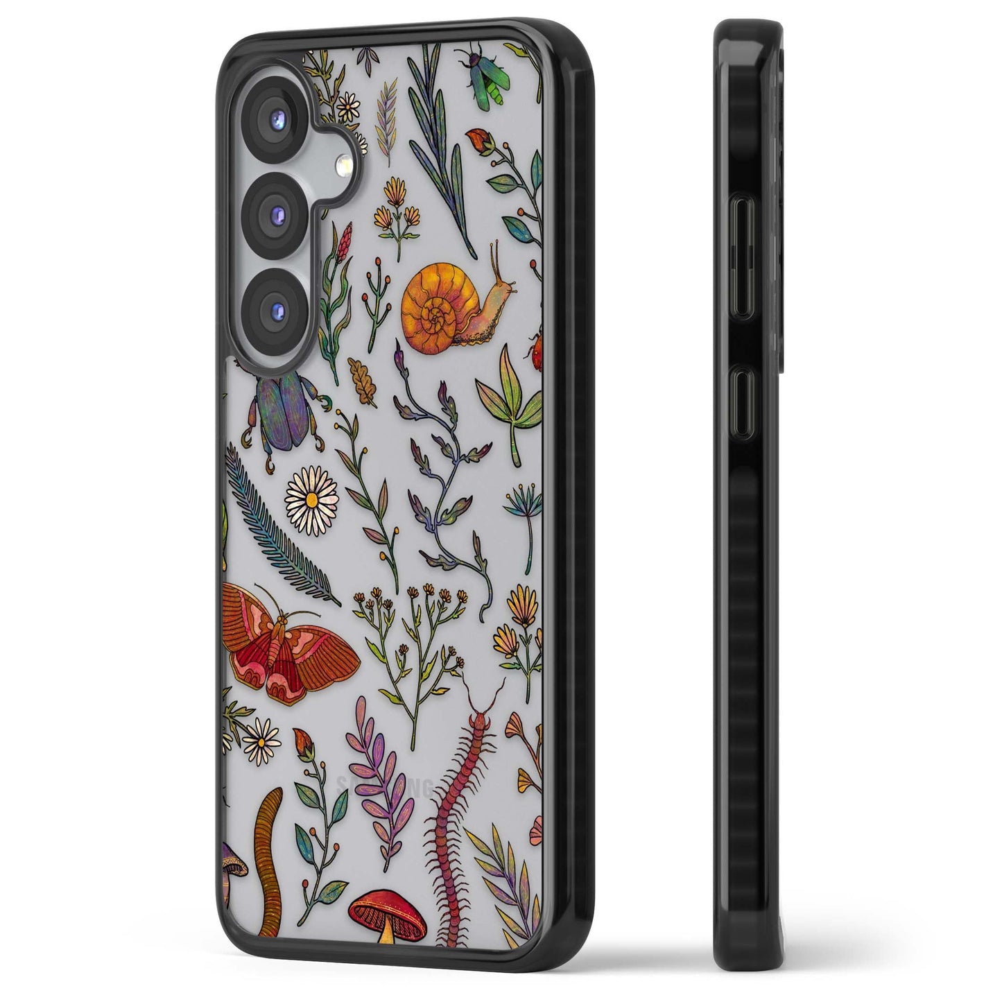 Insectes et fleurs sauvages