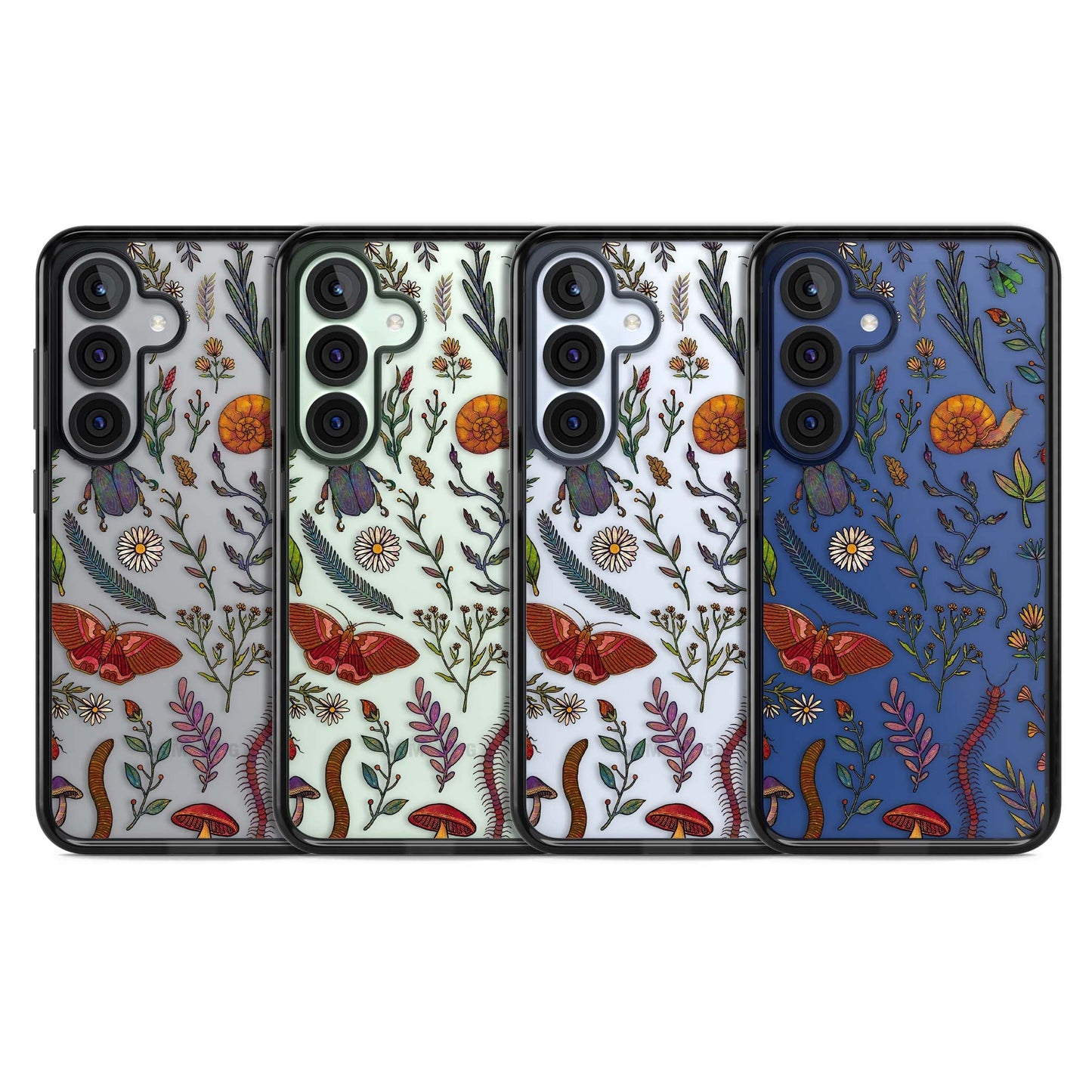 Insectes et fleurs sauvages