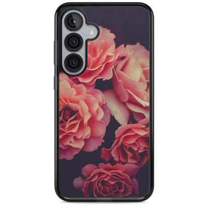 Mitternachtsrosenblüte