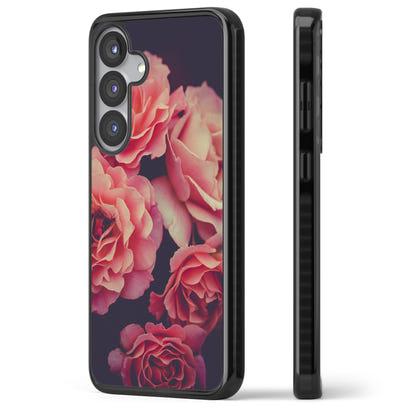 Mitternachtsrosenblüte