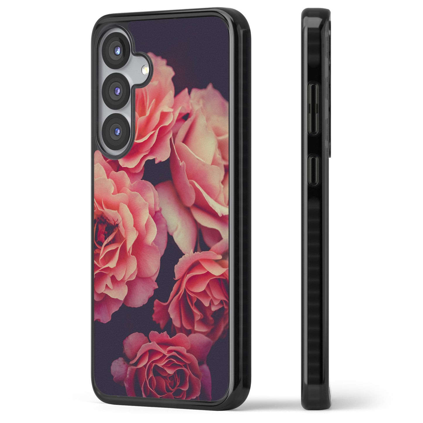 Mitternachtsrosenblüte