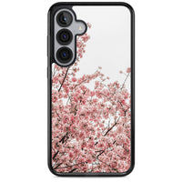 Cherry Blossom Bloom