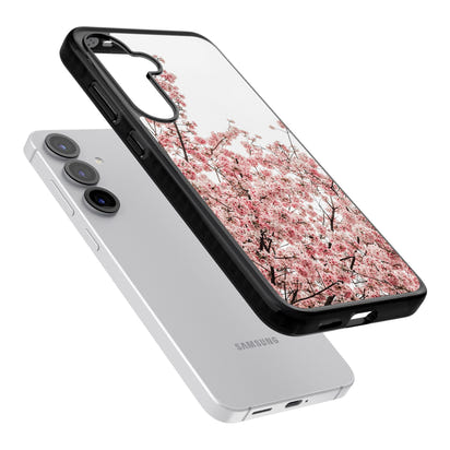 Cherry Blossom Bloom