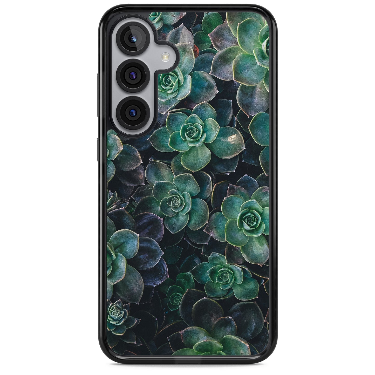 Succulent Bloom Botanical