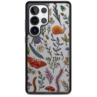 Insectes et fleurs sauvages