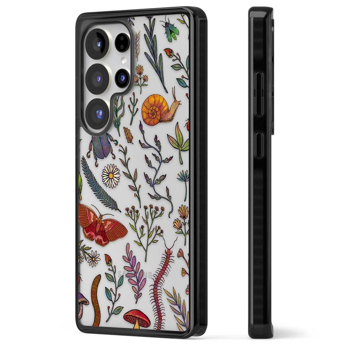 Insectes et fleurs sauvages