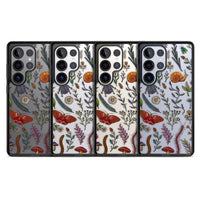 Insectes et fleurs sauvages